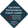 Performance_consulting